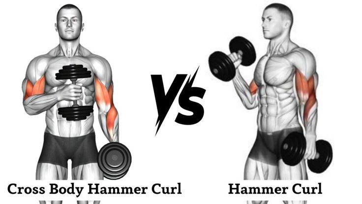 Cross Body Hammer Curls Vs Hammer Curls