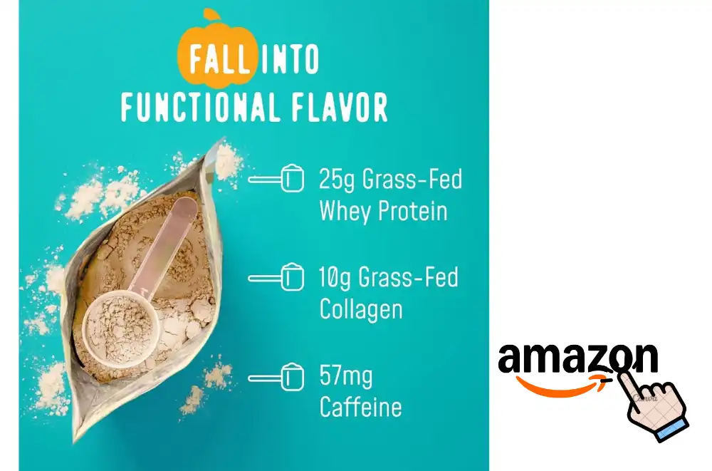 FlavCity Protein Powder Review