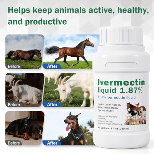 ParaGuard Ivermectin Solution For Horse