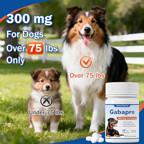 PKperekond Gabapro For Large Dogs 300mg