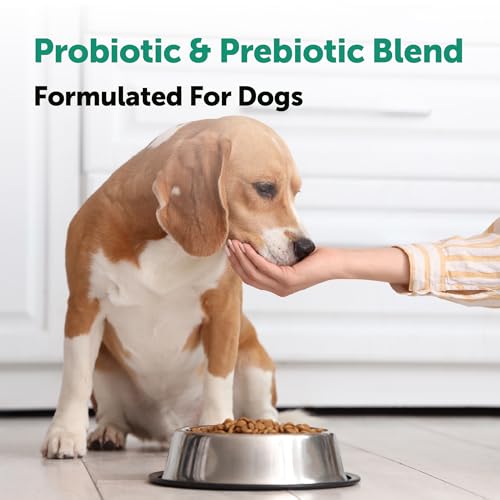Duck Flavor Dog Probiotics Supplements 240 Chews