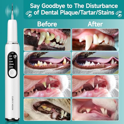 Jellytree Dog Plaque And Tartar Remover