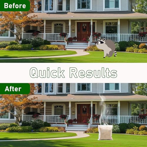 Raccoon Repellent For Homes & Yards